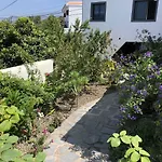 Casa Lucia Διαμέρισμα Genovés