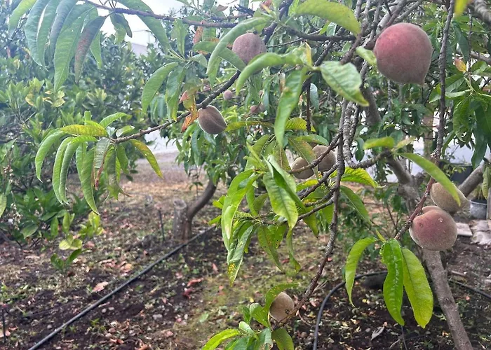 Appartamento Casa Lucia Genovés