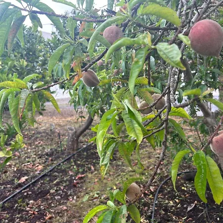 Lejlighed Casa Lucia Genovés