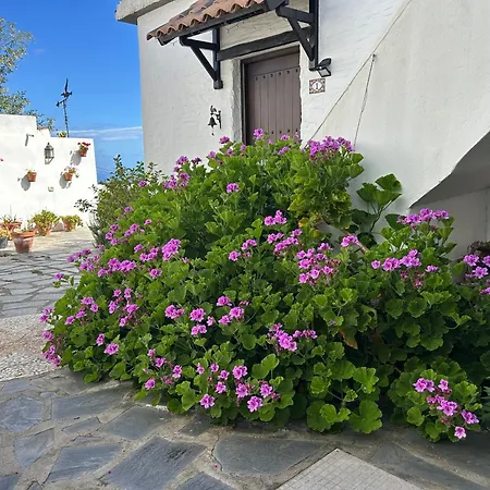 Casa Lucia * Genoves