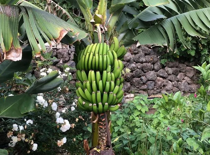 Casa Lucia * Genovés