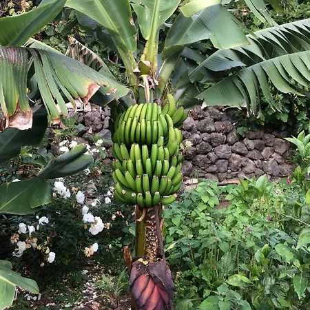 Casa Lucia * Genovés